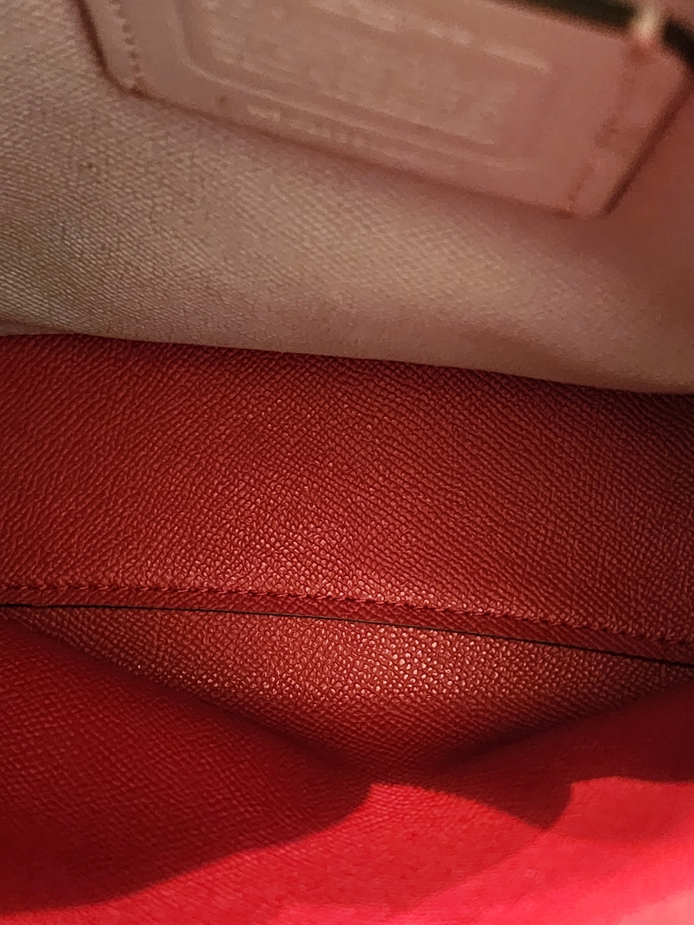 ❗️(THIS IS A PROJECT BAG)❗️ Coach Mollie Bucket Bag - Picture 14 of 16